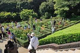 バラ園